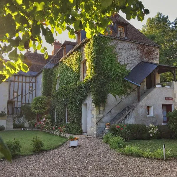 Chambre d'Hôtes Le Moulin des Landes、Vernou-sur-Brenneのホテル