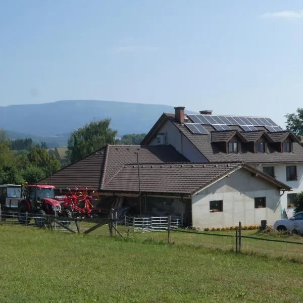 Ubytování Farma U sv. Jakuba, hotel in Dolní Lánov