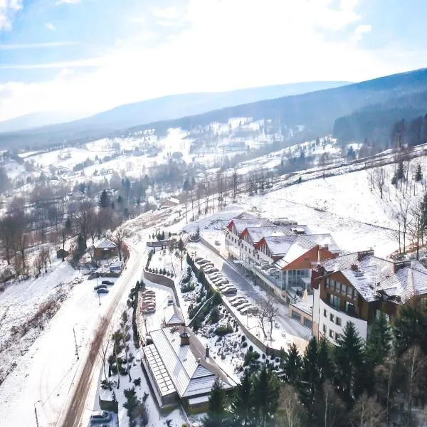 Hotel & Medi-Spa Biały Kamień, hotel en Świeradów-Zdrój