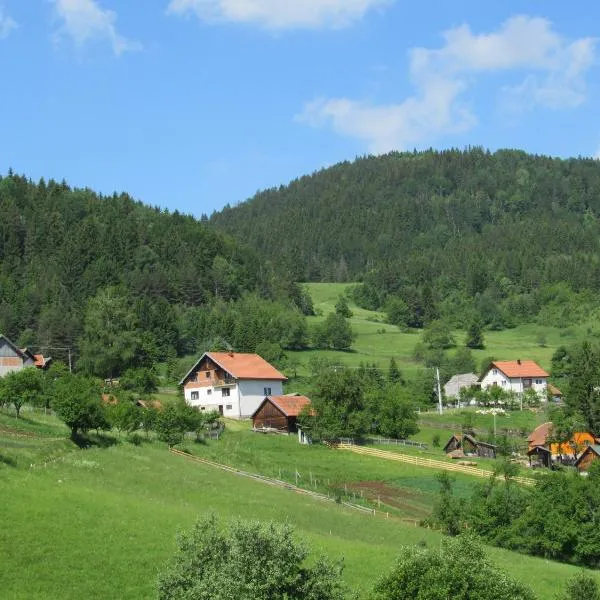 Planinski Mir, hotel in Zaovine