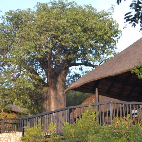 Adansonia Eco Lodge、ムシナのホテル