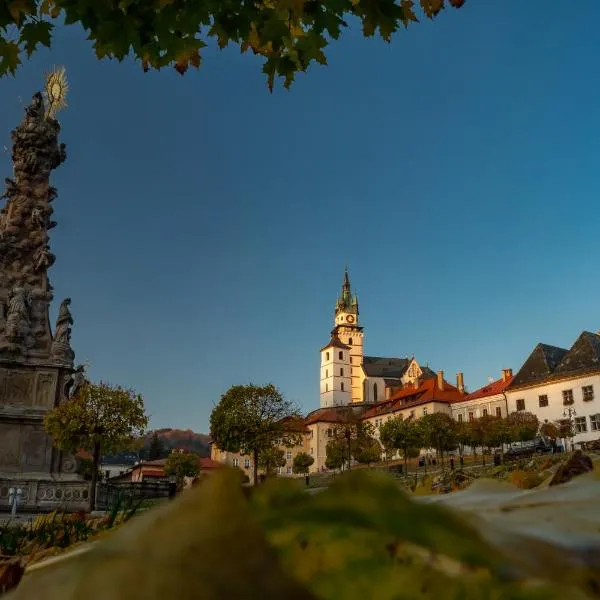 Apartmany Zechenterova, hotel in Kremnica