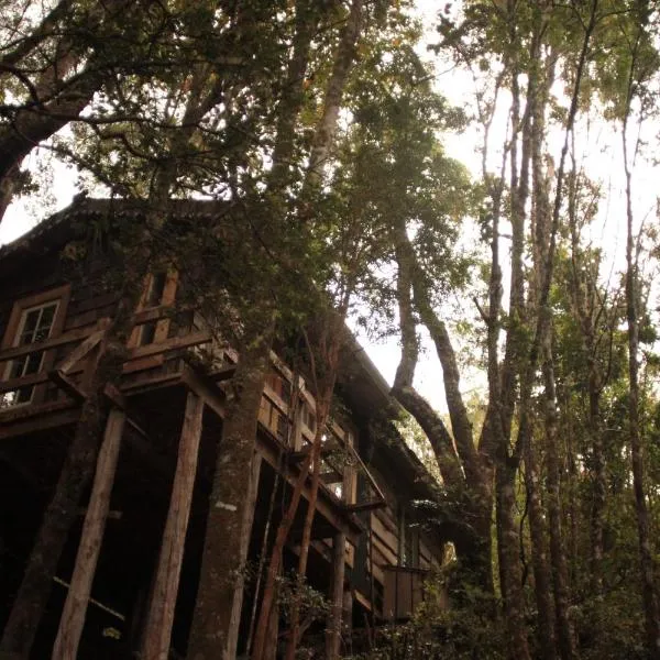 La Casita del Bosque、カストロのホテル