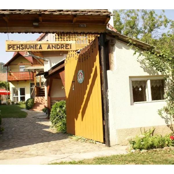 시비엘에 위치한 호텔 Pensiunea Andrei Sibiel