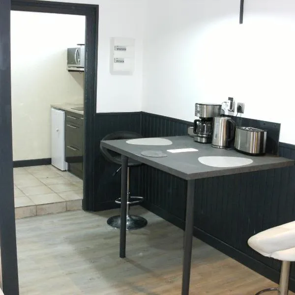 studio vic 2.0, hotel in Vic-sur-Cère