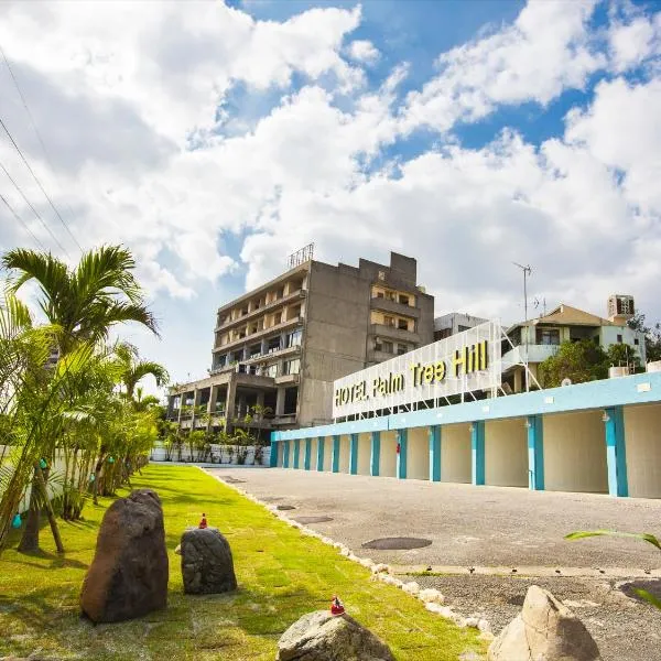 Hotel Palm Tree Hill, hotel in Okinawa City