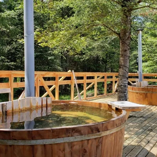 Cabañas Pewma Nentum, hotel v destinaci Villarrica