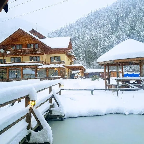 Pensiunea Casiana, hotell i Ciulpăz