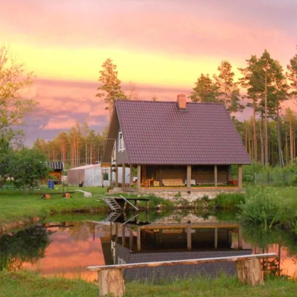 Guest House Ziedkalni, hotel in Ģipka