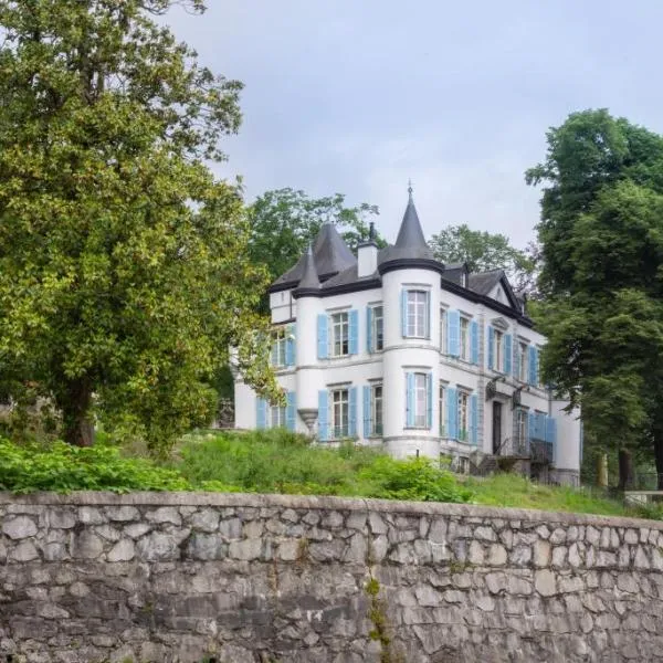 Château de Druon, hotel in Buziet