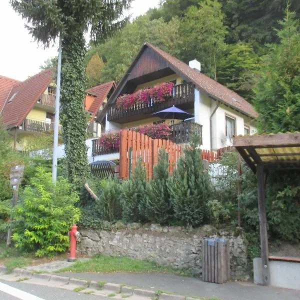 Apartments in Behringersmühle, hotel v destinaci Gößweinstein