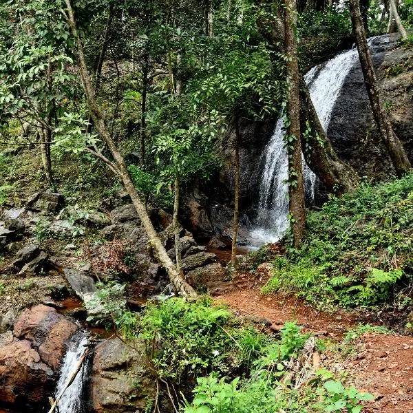 Karadikallu Homestay - Private Waterfalls & Guided Trek, hotel in Blegod