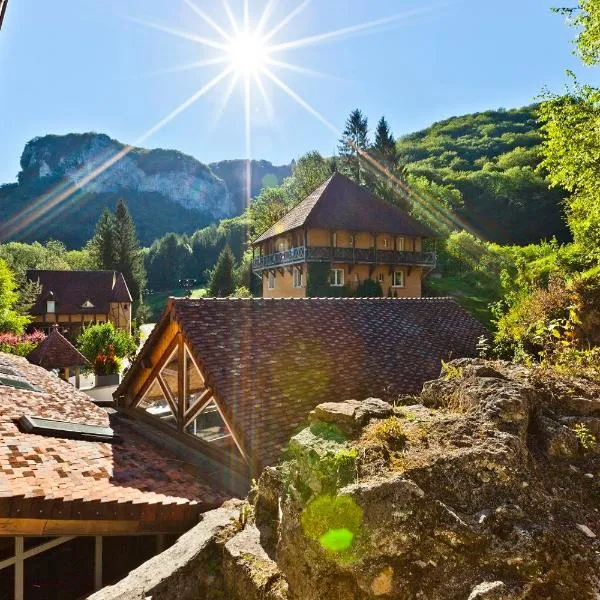 Castel Damandre, hotel v destinaci Arbois