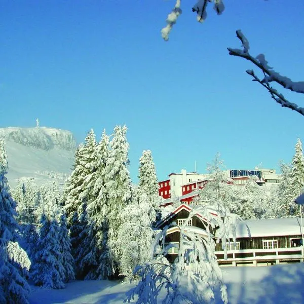 Thon Hotel Skeikampen, hotel v destinaci Svingvoll