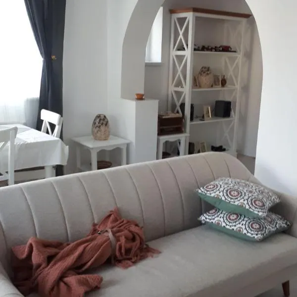Iarca Cottage、ブカレストのホテル