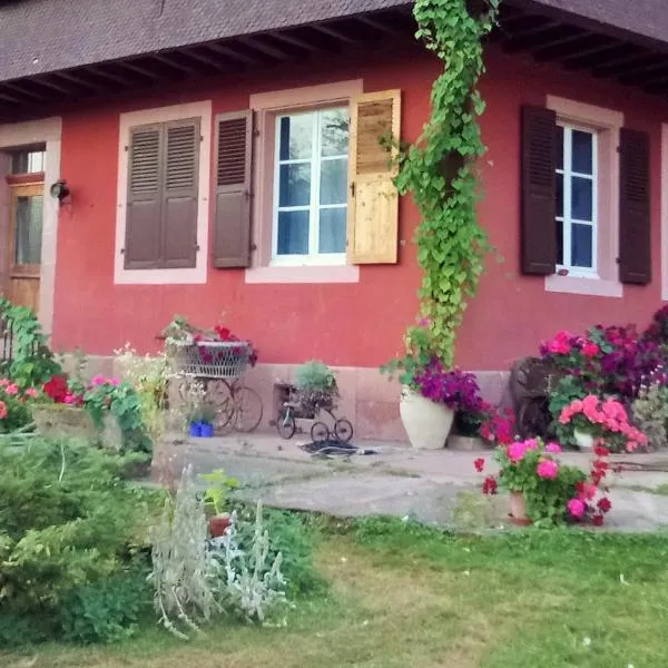 Gîte "Cadichon", hotel in Munster