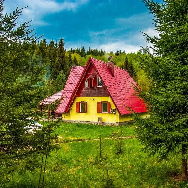 Doi Frati, hotel em Topliţa