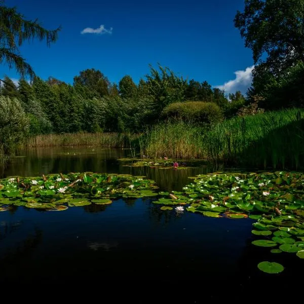 Idilliska Latgaliešu lauku māja ar melno pirti, hotel in Aglona