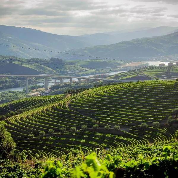 Quinta do Vallado - Douro Wine Hotel: Peso da Régua şehrinde bir otel