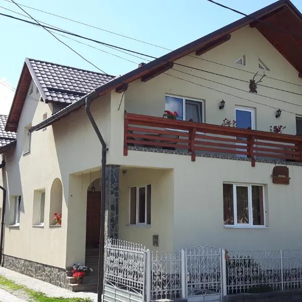 Pensiunea Casa Șteț Toader Iulian, hotel in Cîmpulung la Tisa