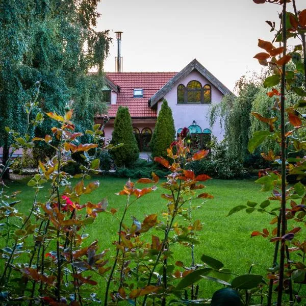 Daiconi Boutique House, hotel in Păuliş