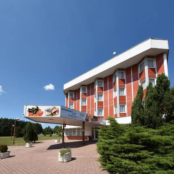 Hotel Regent, hotel in Lomnice nad Lužnicí