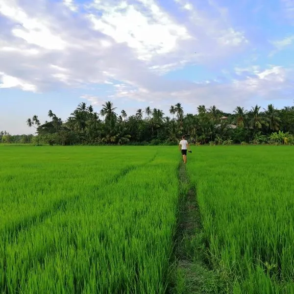 Viveka Inn Guest and Yala Safari, hotel v destinaci Tissamaharama