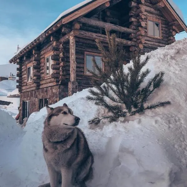 Mountain Cricket Chalets and Apartments Gudauri, ξενοδοχείο σε Gudauri