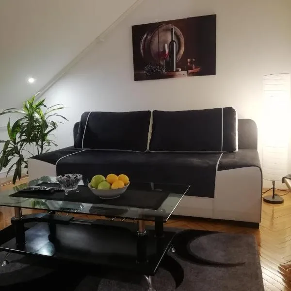 Two Kings apartment, hotel in Novi Sad