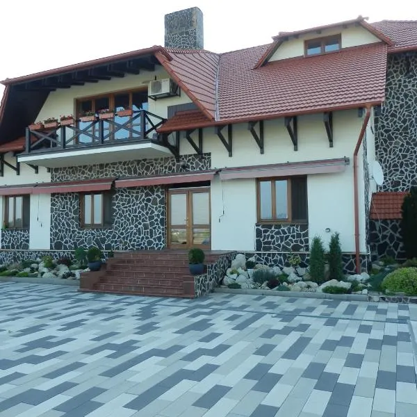 Penzión Vínny Dom, hotel v destinaci Streda nad Bodrogom