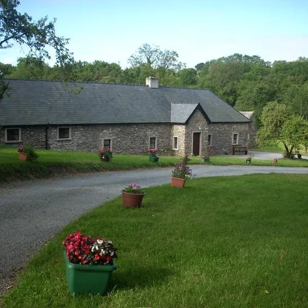 The Old House, hotel v destinaci Carrick-on-Suir