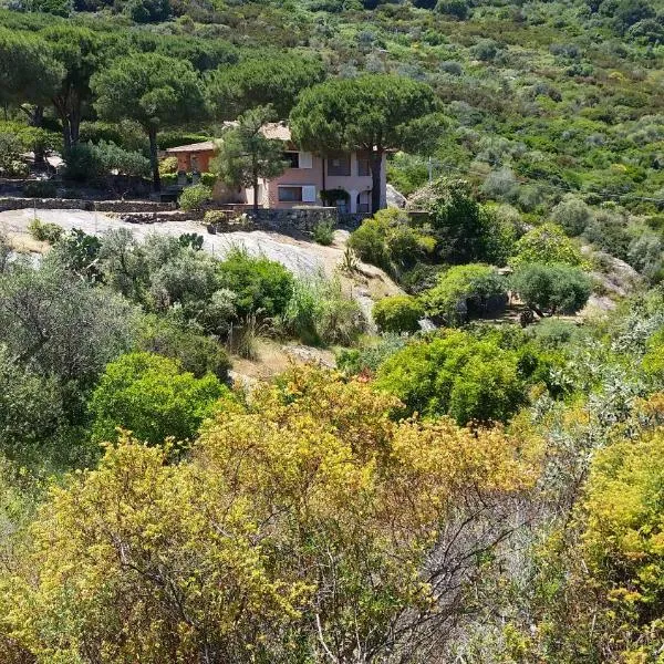 Villa Laura Aegilium, hotell i Giglio Porto