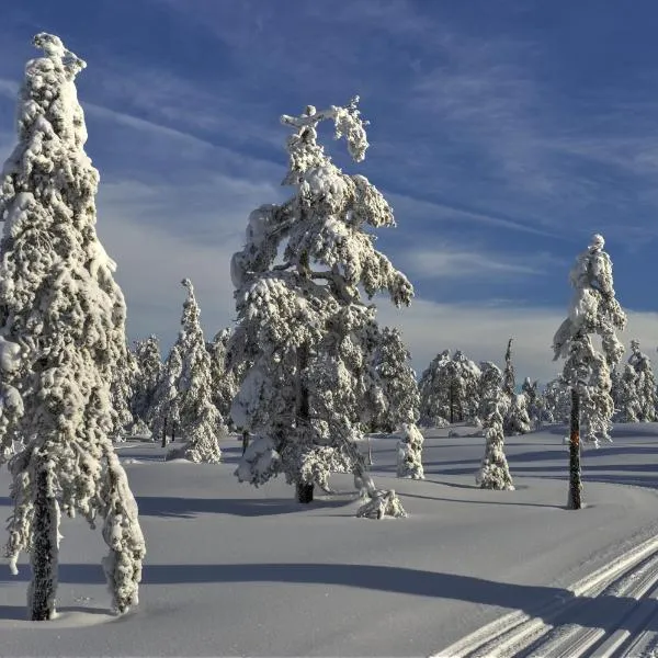 Tyrifjord Hotell, ξενοδοχείο σε Vikersund