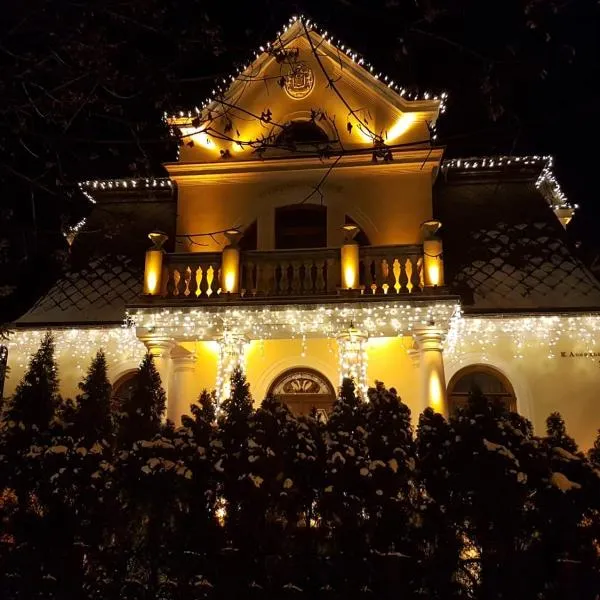 Luxury Boutique Andreevskiy, hotel ve Lvově