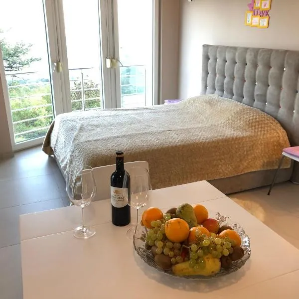 Studio Apartments Santa, hotel di Marčići