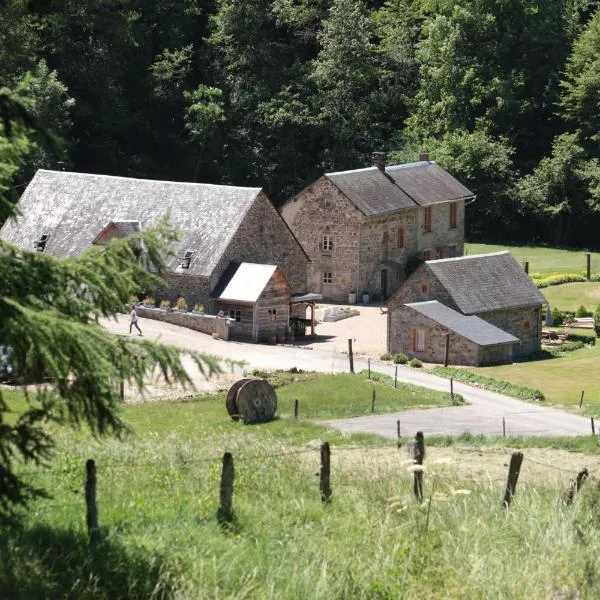 Moulin des Borderies, hotel in Singles