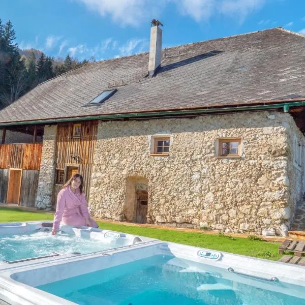 Obiralmhütte Mosgan, khách sạn ở Bad Eisenkappel