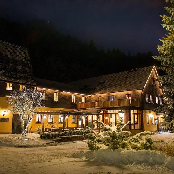 잘펠트에 위치한 호텔 Flair-Waldhotel Mellestollen
