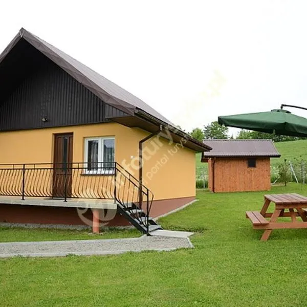 Domki u Pasieków nad Jeziorem Solińskim, готель у місті Завіз