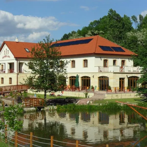 Aranybánya Hotel, hotel in Bózsva
