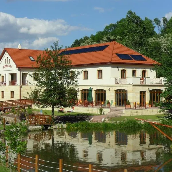 Aranybánya Hotel, hotel in Hejce