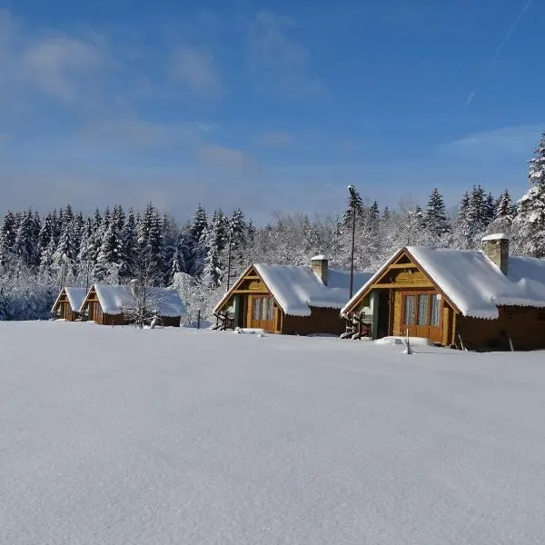 Chatky a apartmány Apollo na Vysočině, hotel v Novém Městě na Moravě