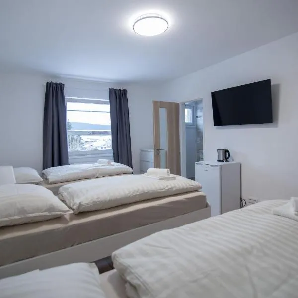 apartment Dana, hotel v destinaci HoÅ¡Å¥ka