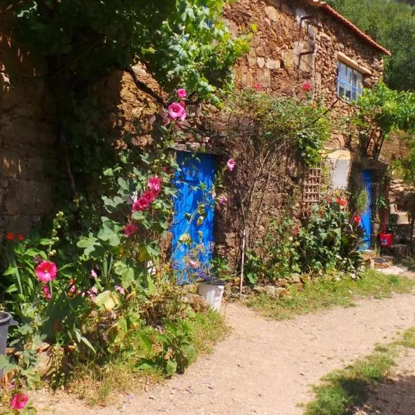 Cottage Vivenda Festina Lente, hotel v destinaci Figueiró dos Vinhos