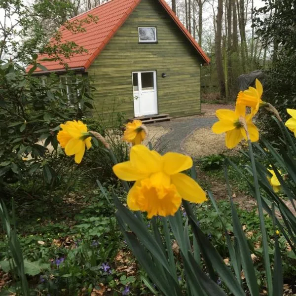 Ferienhof Ohlenbusch, Hotel in Worpswede