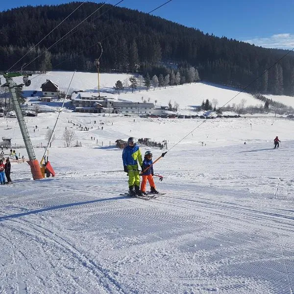 Ferienwohnungen am Schneeberg、ティティゼー・ノイシュタットのホテル