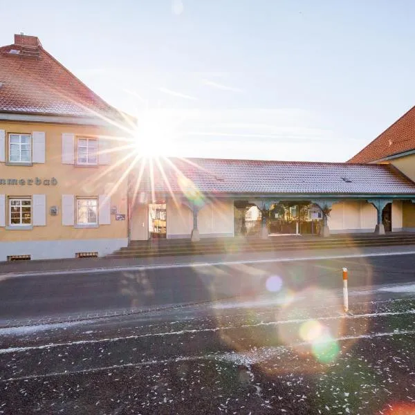 Hotel Am Sommerbad, hotel v destinaci Halberstadt