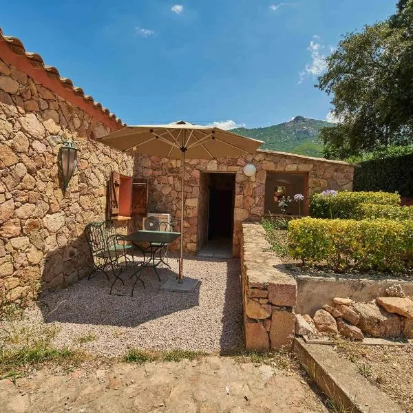 Maison L'Olivier avec piscine, hotel in Tolla