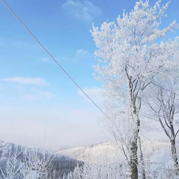 Haus Schneider: Winterberg'de bir otel