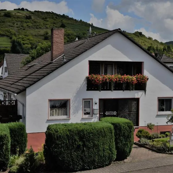 Ferienwohnung Euler, hotel v destinaci Odernheim